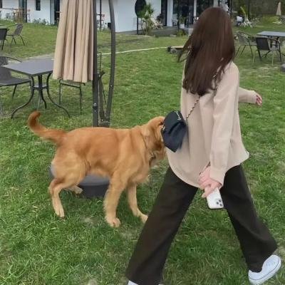 和不正经的你一起
